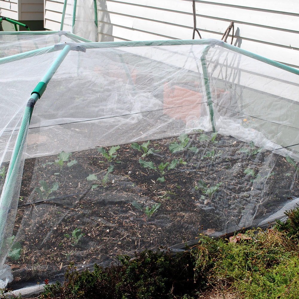 3 x 5 metre Insect Exclusion Netting & Clamps - covers most frames.