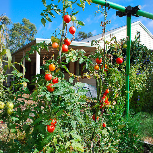 Flexi Garden Giant Frame