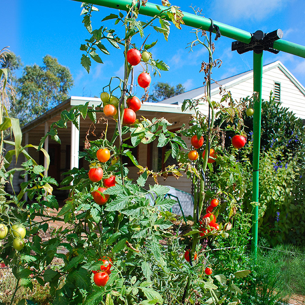 Flexi Garden Supreme Frame