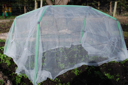 3 x 5 metre Insect Exclusion Netting & Clamps - covers most frames.