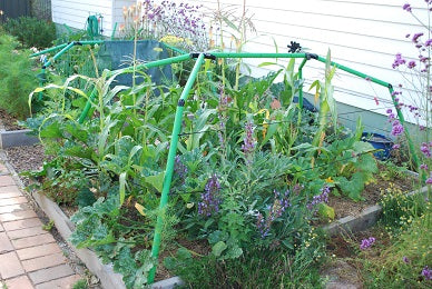 Straw bale beds