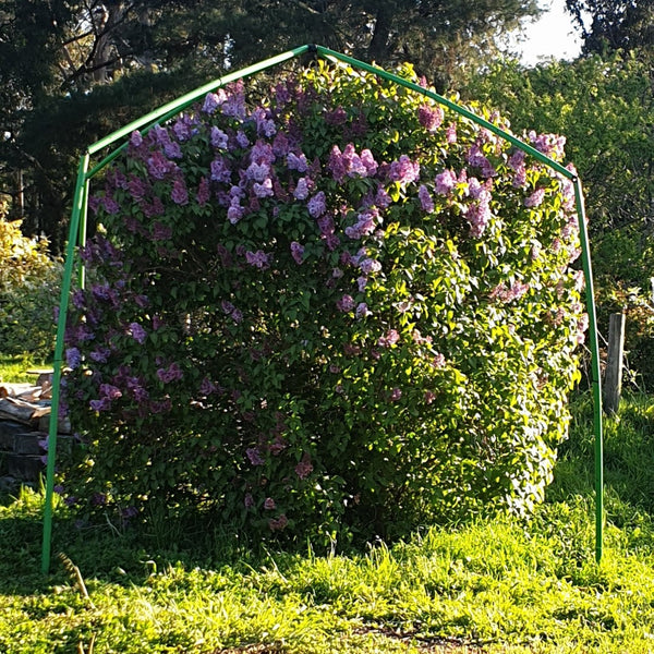 Saving ring barked trees. - Flexi Garden Frames