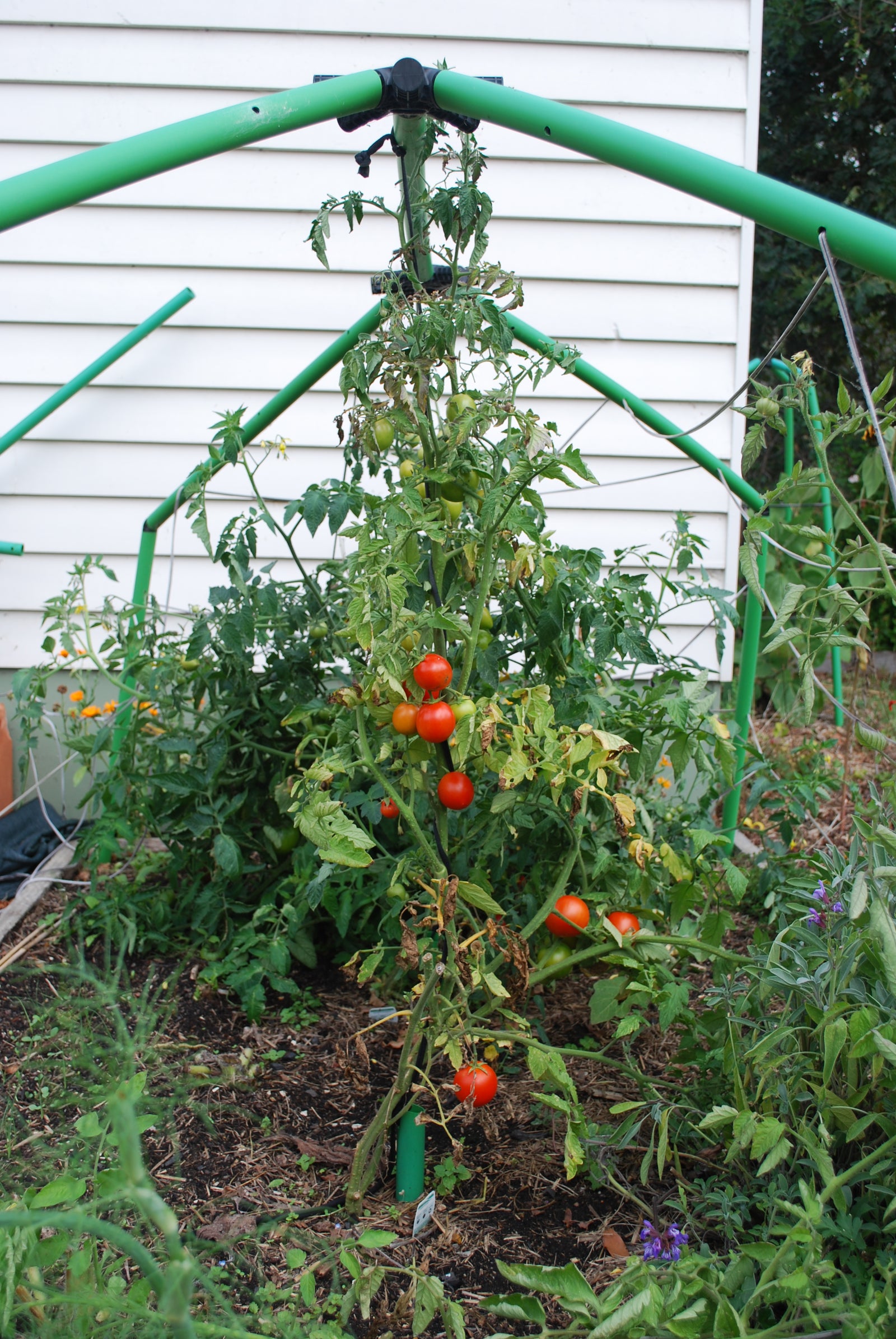 Do as I say, not as I do!