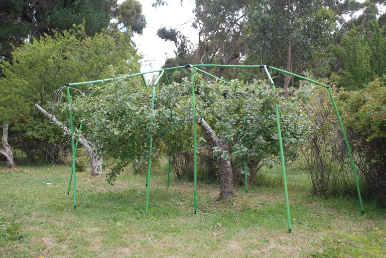Apple Trees