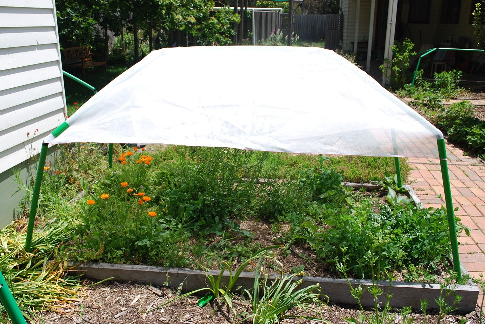 Keep your plants hydrated.