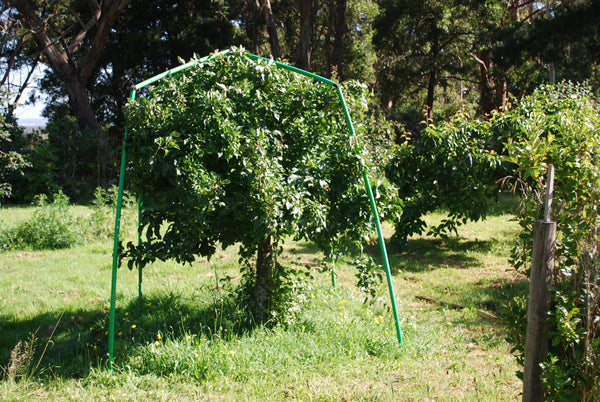 Tree Pruning - Flexi Garden Frames