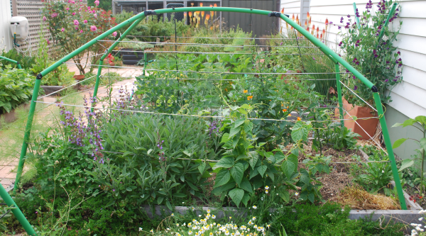 Seeding times are growing times