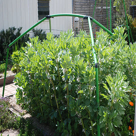 Climate and the impact on home gardens