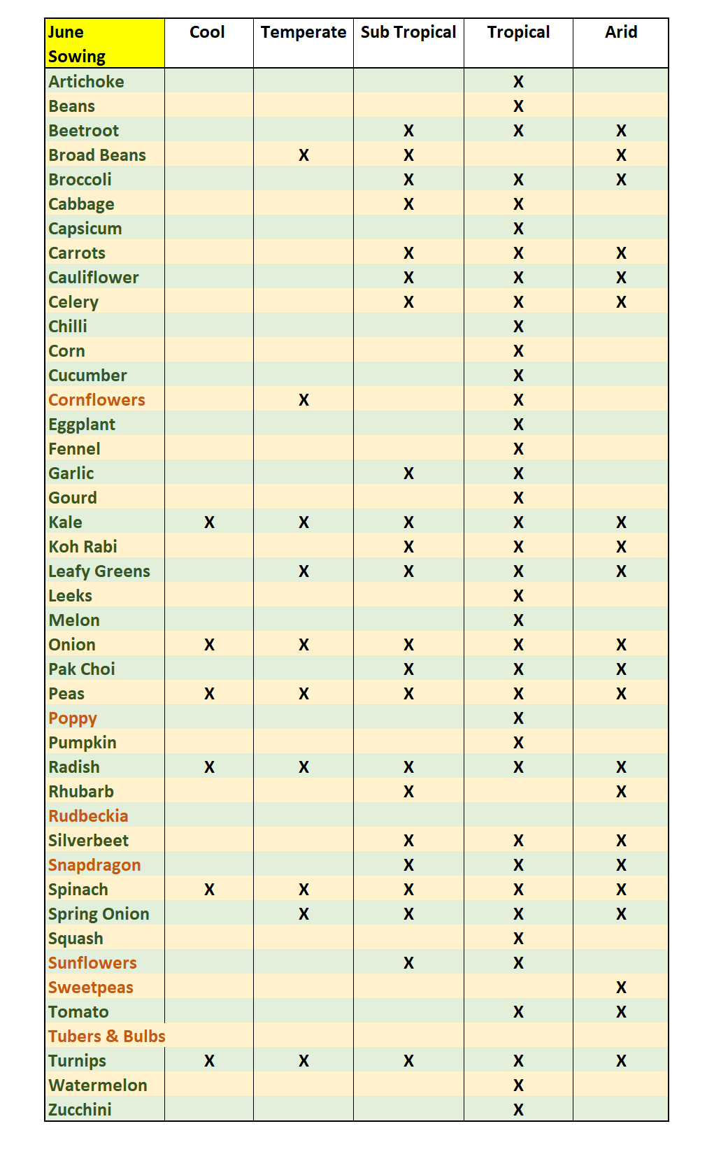 June sowing and bed building