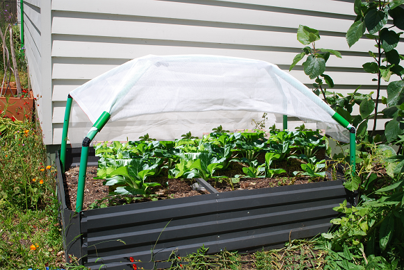 Topping up a garden bed