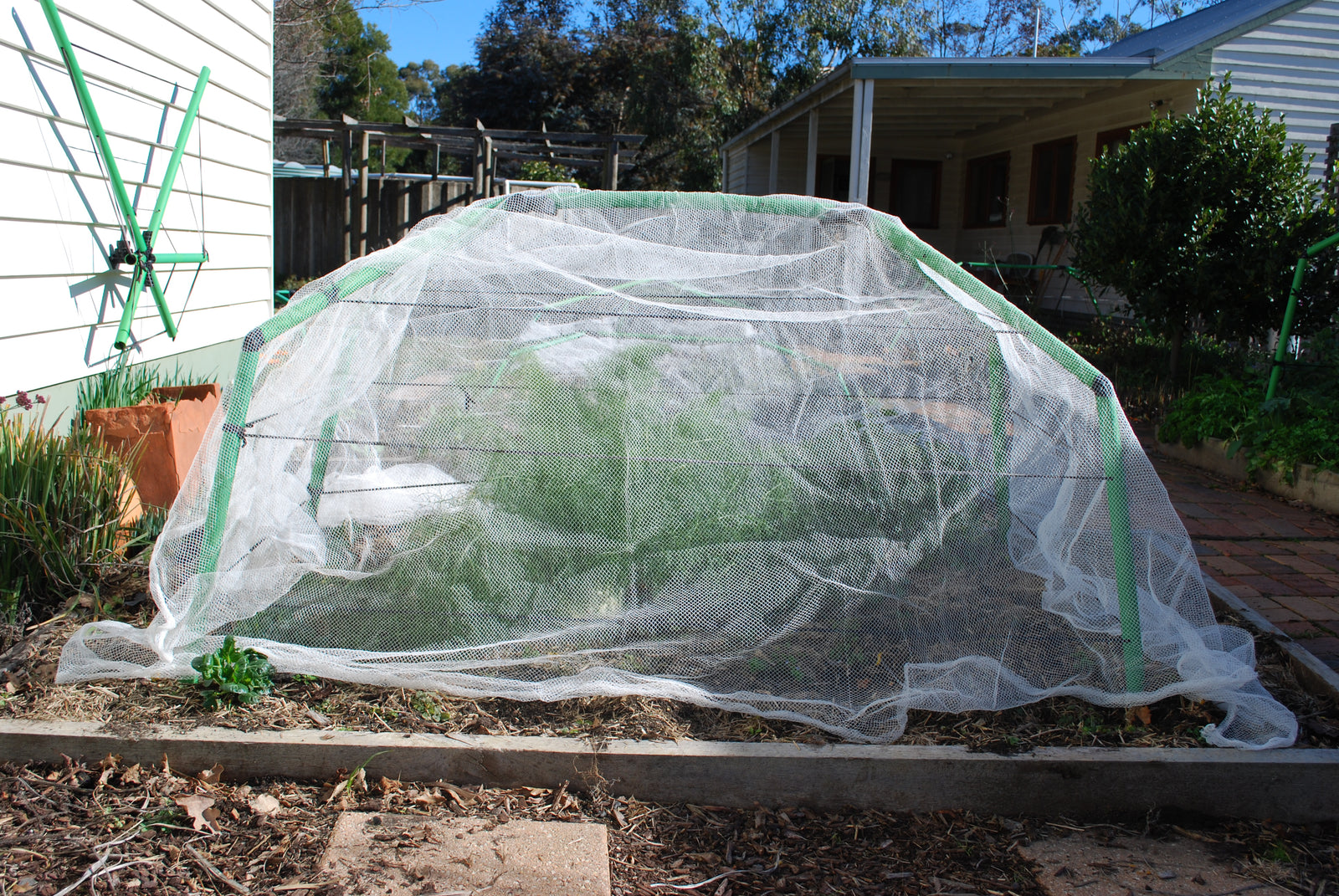 A Frame, Not A Border