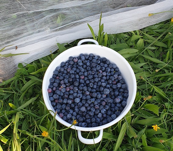 Not all fresh is as fresh as fresh!