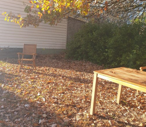 Leaves yellow, red and brown falling all around