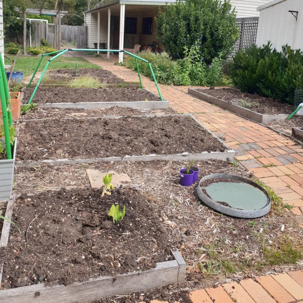 New garden beds