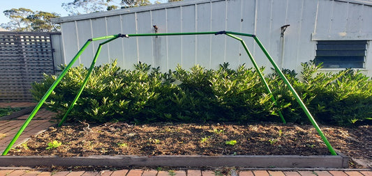 Shallow Garden Beds
