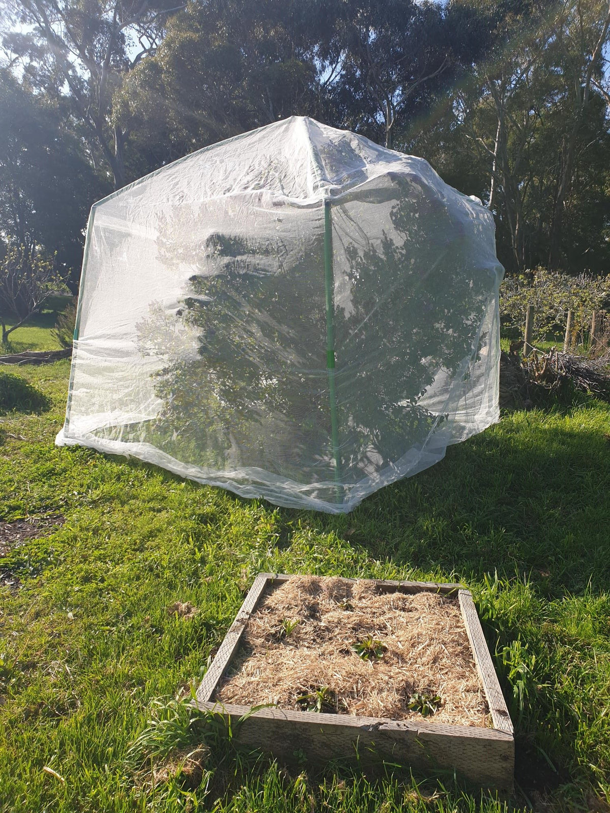 Flexi Garden Tree Frame - 2.8 metres tall