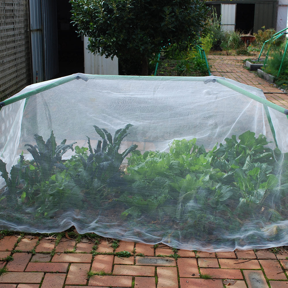 3 x 5 metre Insect Exclusion Netting & Clamps - covers most frames.