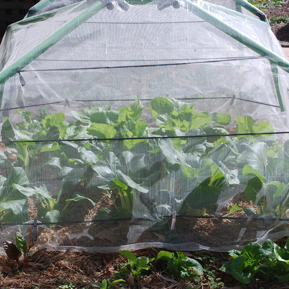 3 x 5 metre Insect Exclusion Netting & Clamps - covers most frames.