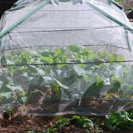 3 x 5 metre Insect Exclusion Netting & Clamps - covers most frames.
