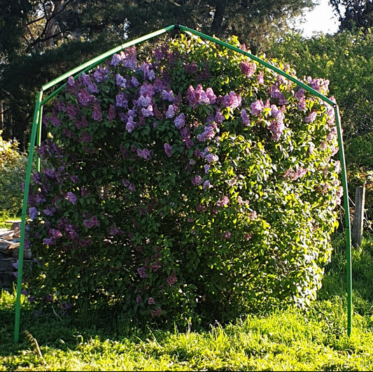Flexi Garden Tree Frame - 2.8 metres tall