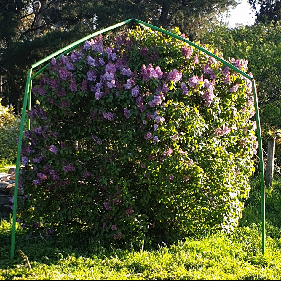 Flexi Garden Tree Frame - 2.8 metres tall