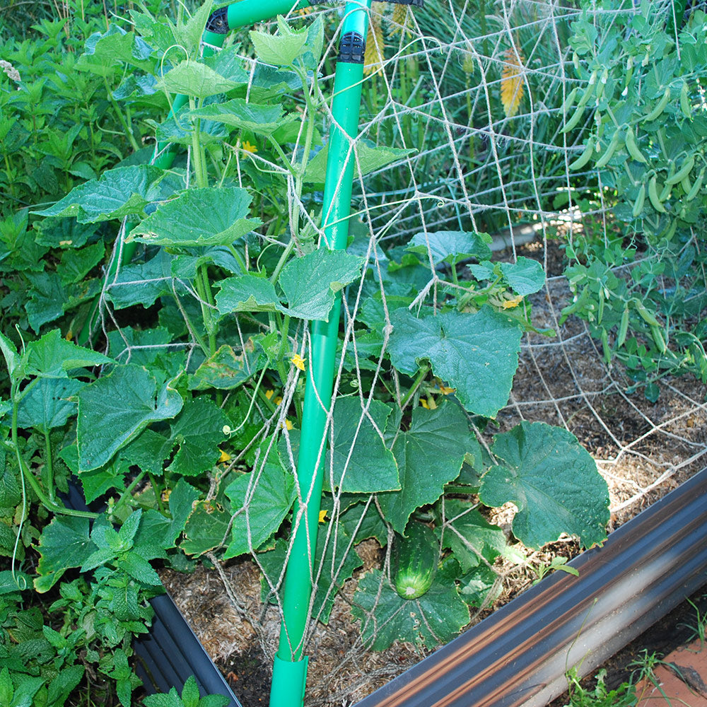 Flexi Garden Bed Frame Kit with Climbing Net - exclusive to Bunnings.