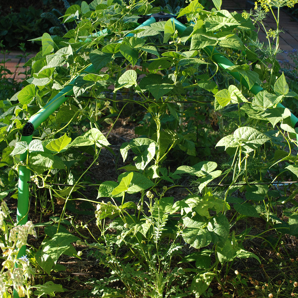 Flexi Garden Chunky Frame