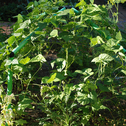 Flexi Garden Chunky Frame