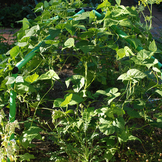 Flexi Garden Chunky Frame