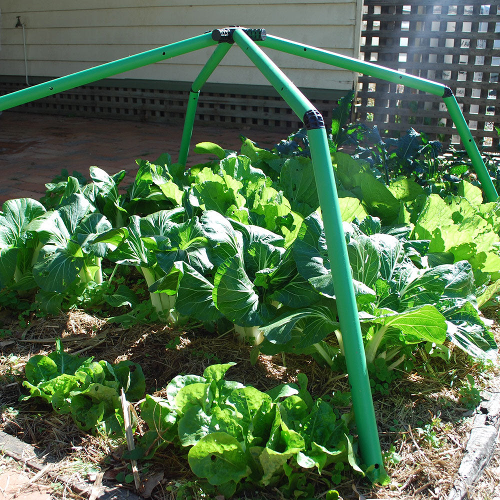 Flexi Garden Chunky Frame