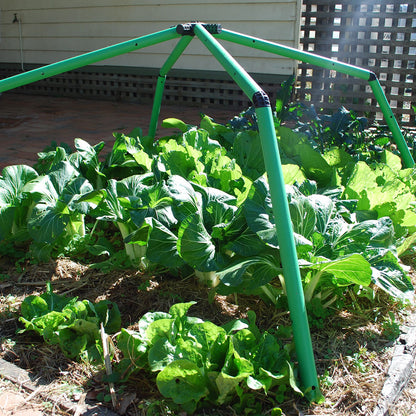 Flexi Garden Chunky Frame