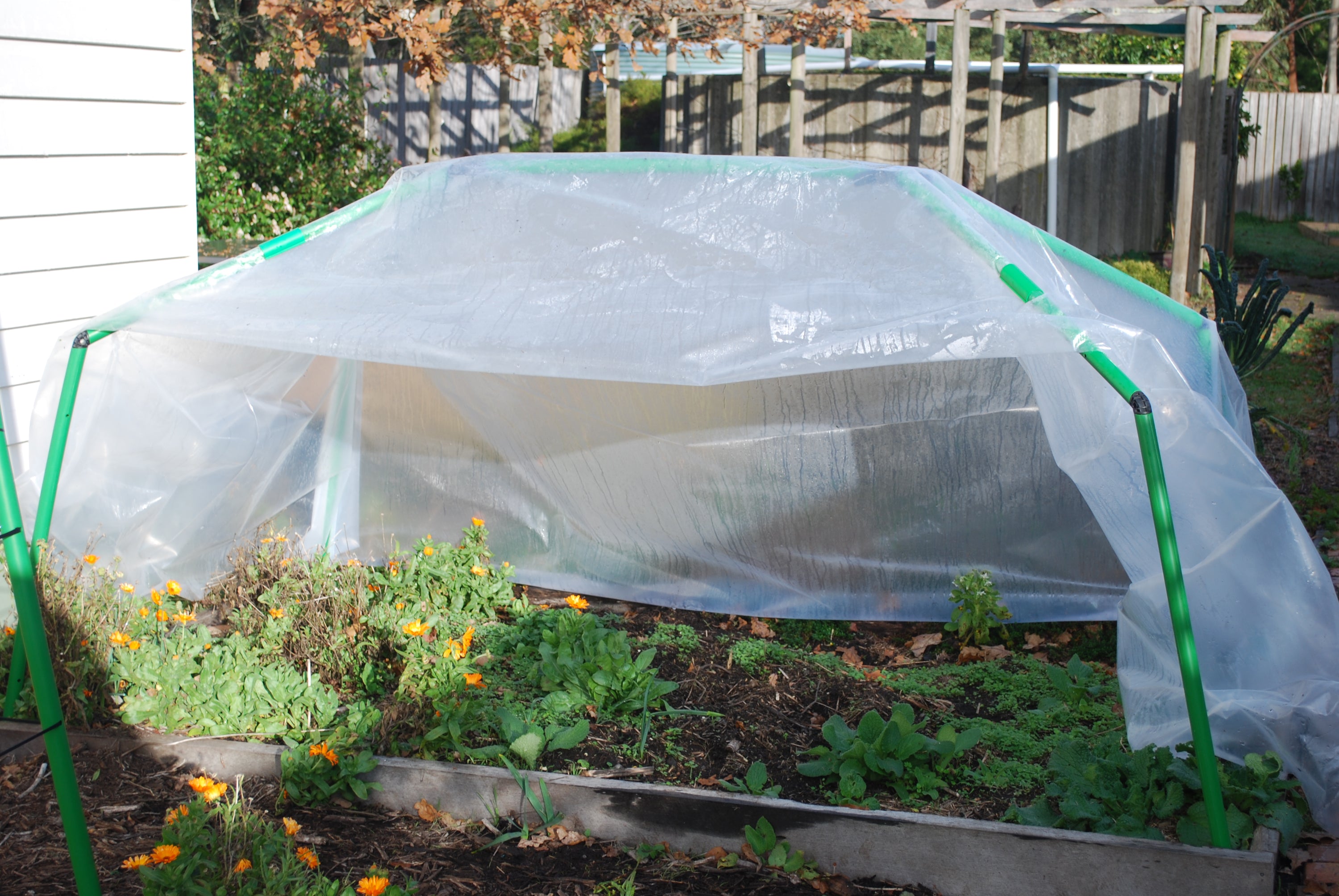 Greenhouses
