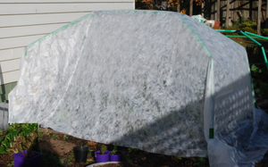 Frost Cloth 3.2 x 5 M and Clamps. Flexi Garden Frames