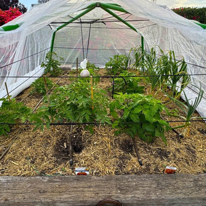 Flexi Garden Mighty Bed Frame