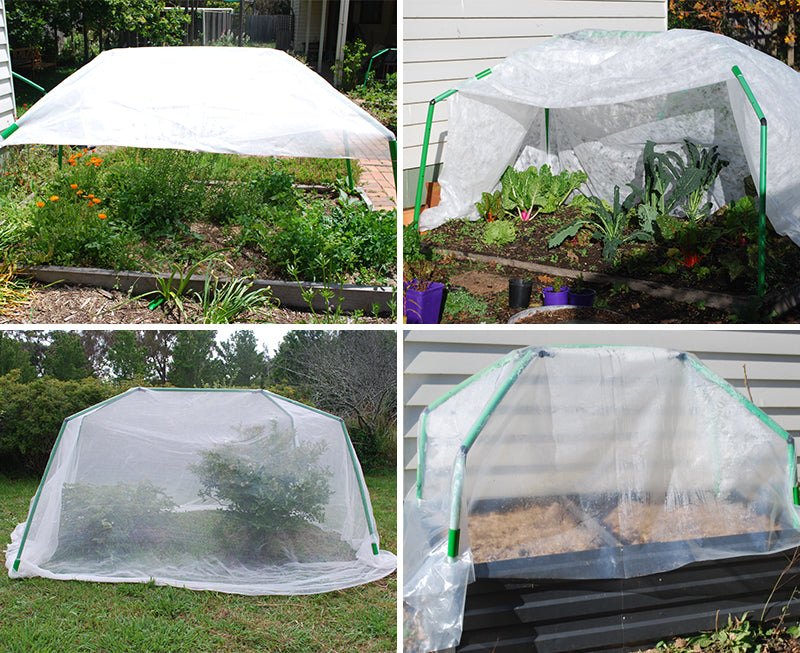 Protect Your Plants