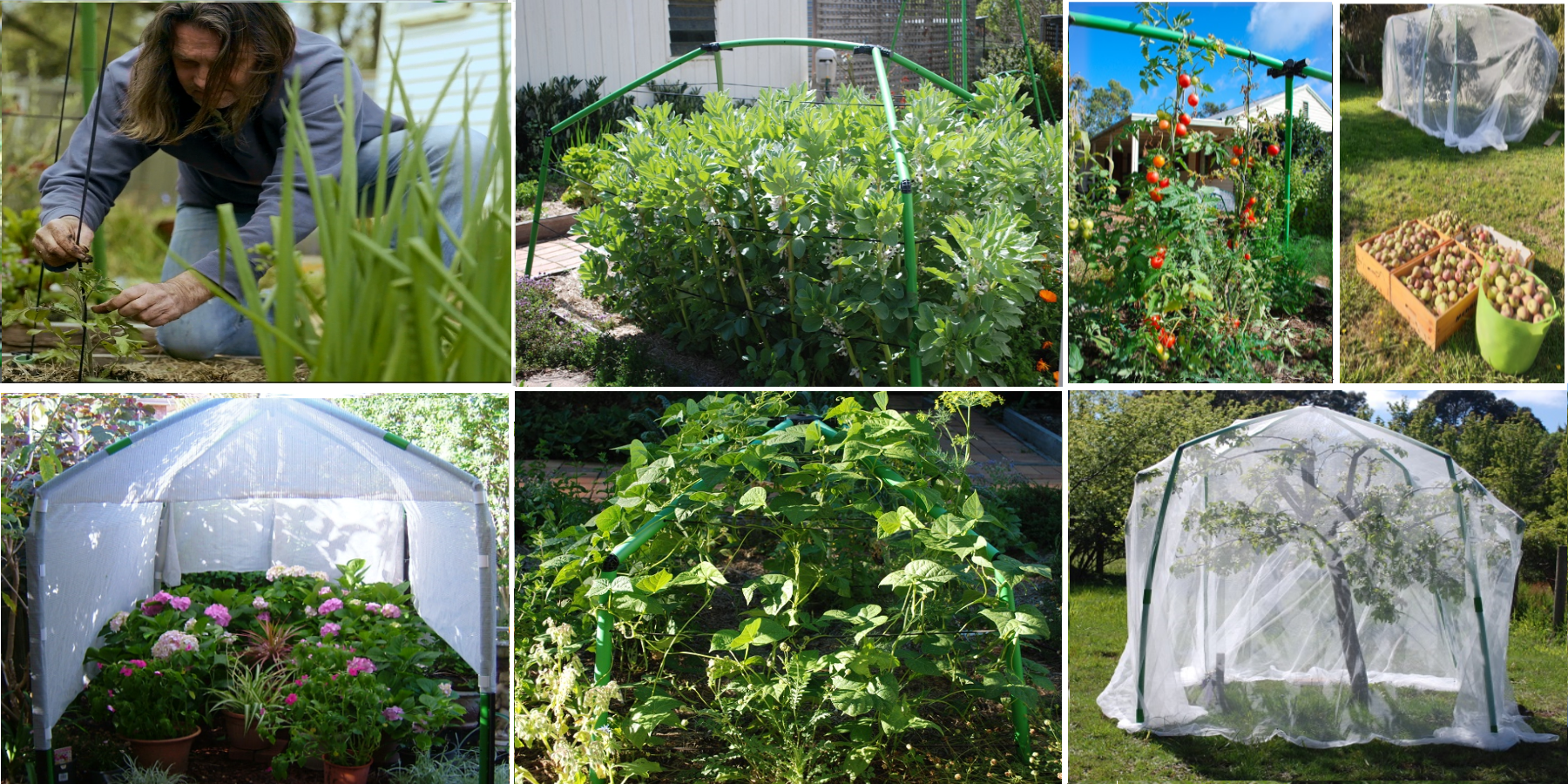 ANC POP 3 Pack Pop Up Mesh Plant Cover, Plant Protector for Raised Garden &  Flower Bed, Net Cage Plant Guard for Fruits, Vegetables, Seedlings and