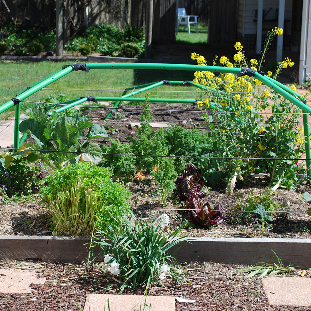 Flexi Garden Standard Frame