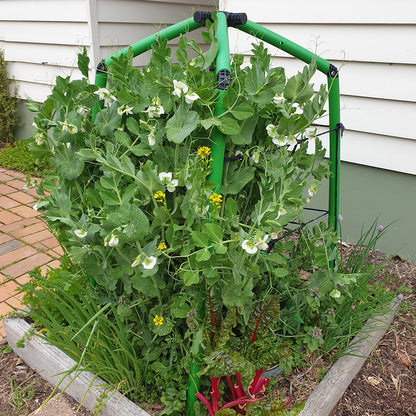 Flexi Garden Starter Frame- TV Special