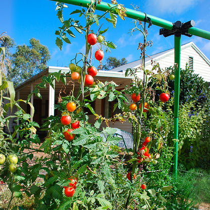 Flexi Garden Supreme Frame