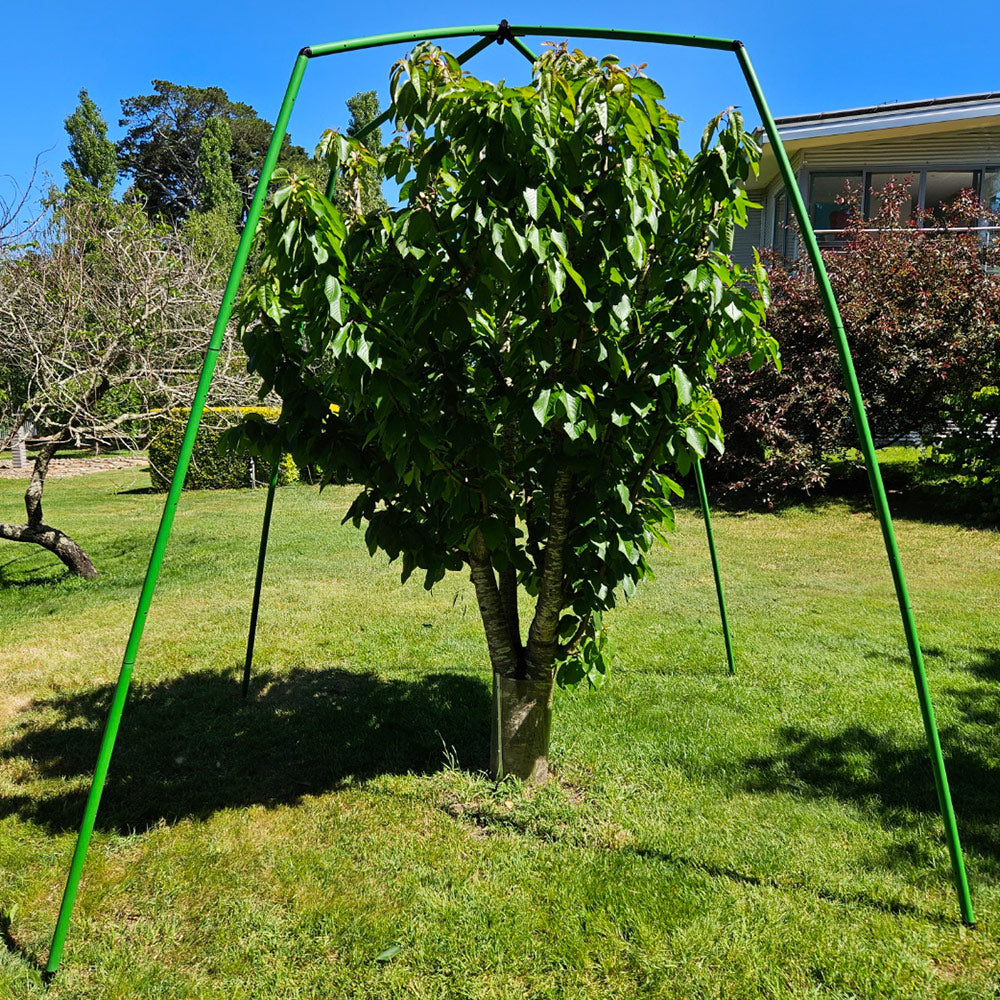 Flexi Garden Tree Frame - 2 metres tall