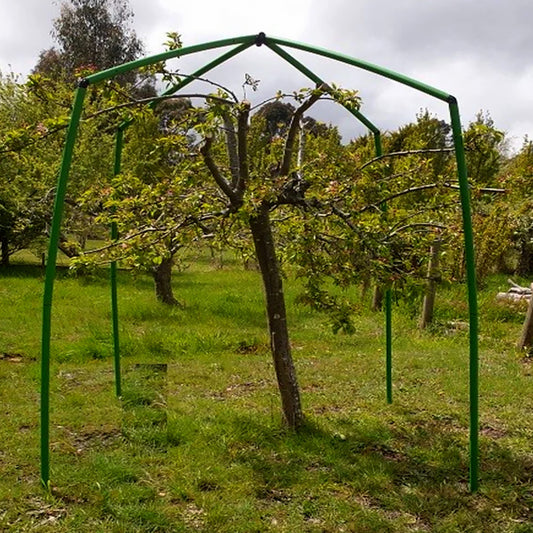 Flexi Garden Tree Frame - 2.5 metres tall