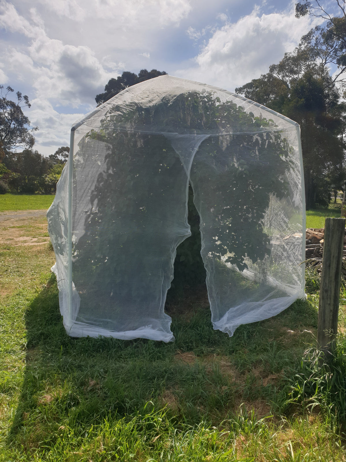 2.8 x 2.4 sq, formed insect net with overlapping door.