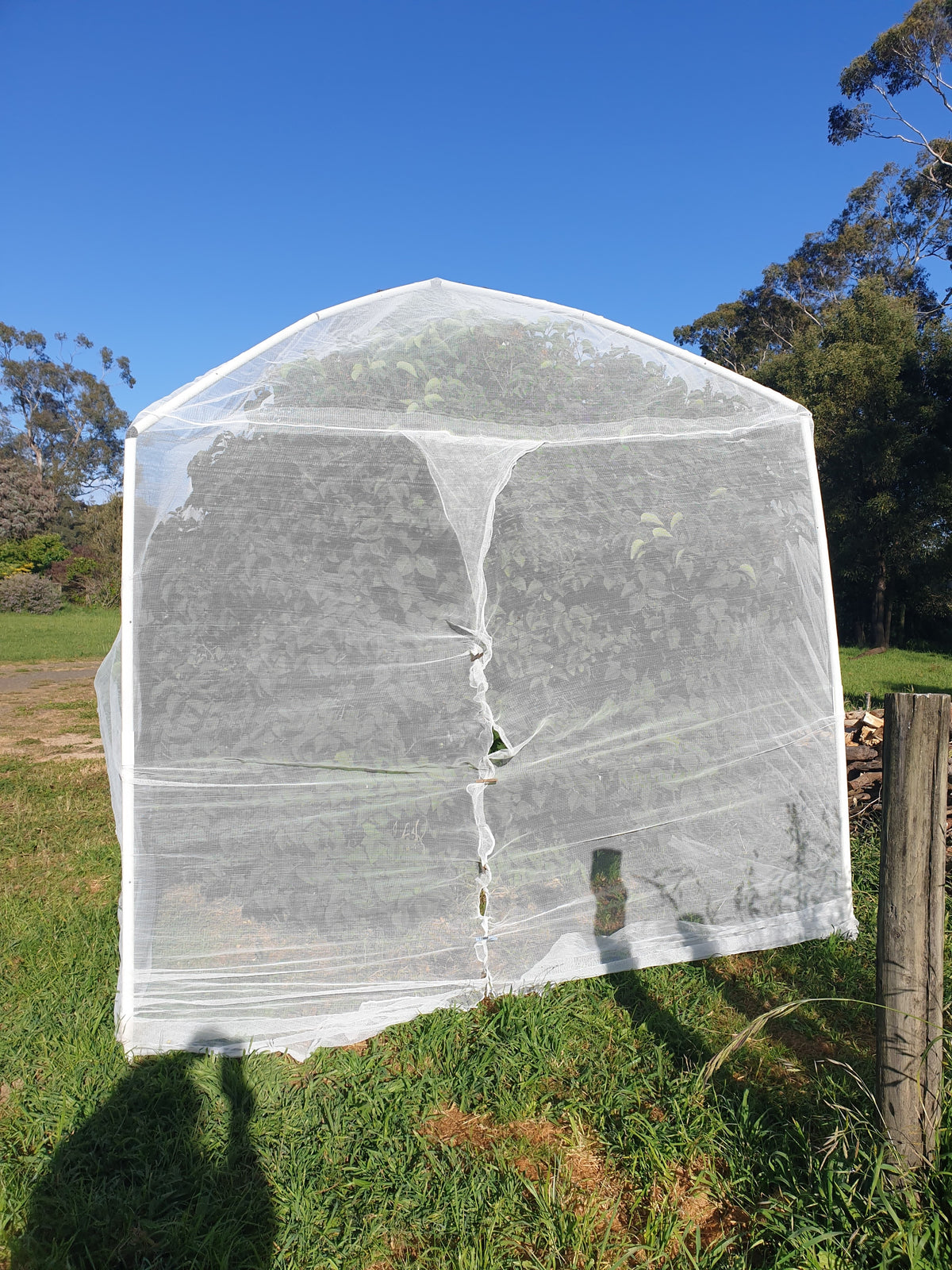 2.8 x 2.4 sq, formed insect net with overlapping door.