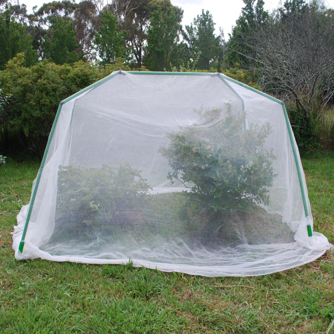 Flexi Garden Tree or Berry Bush Frame