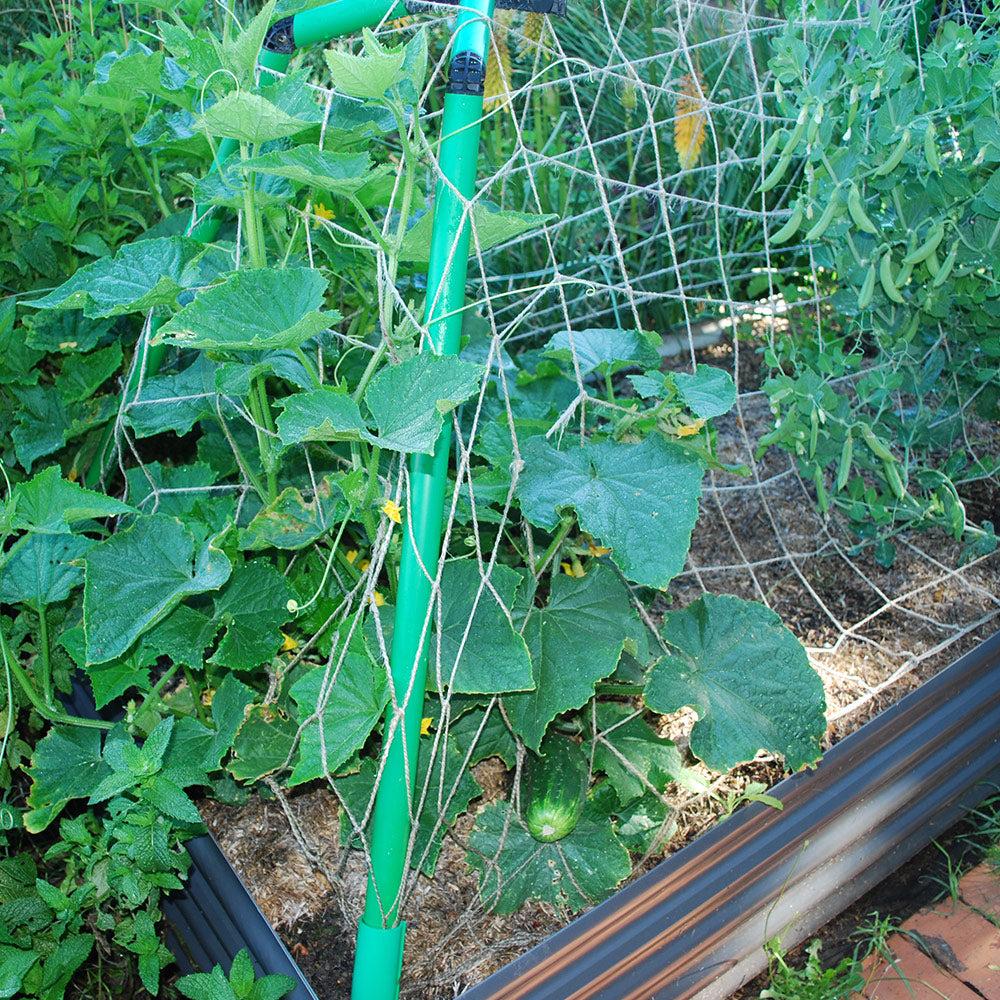 Climbing Net and clamps.