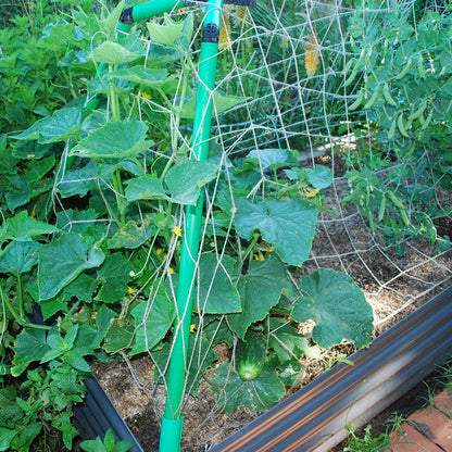 Climbing Net and clamps.