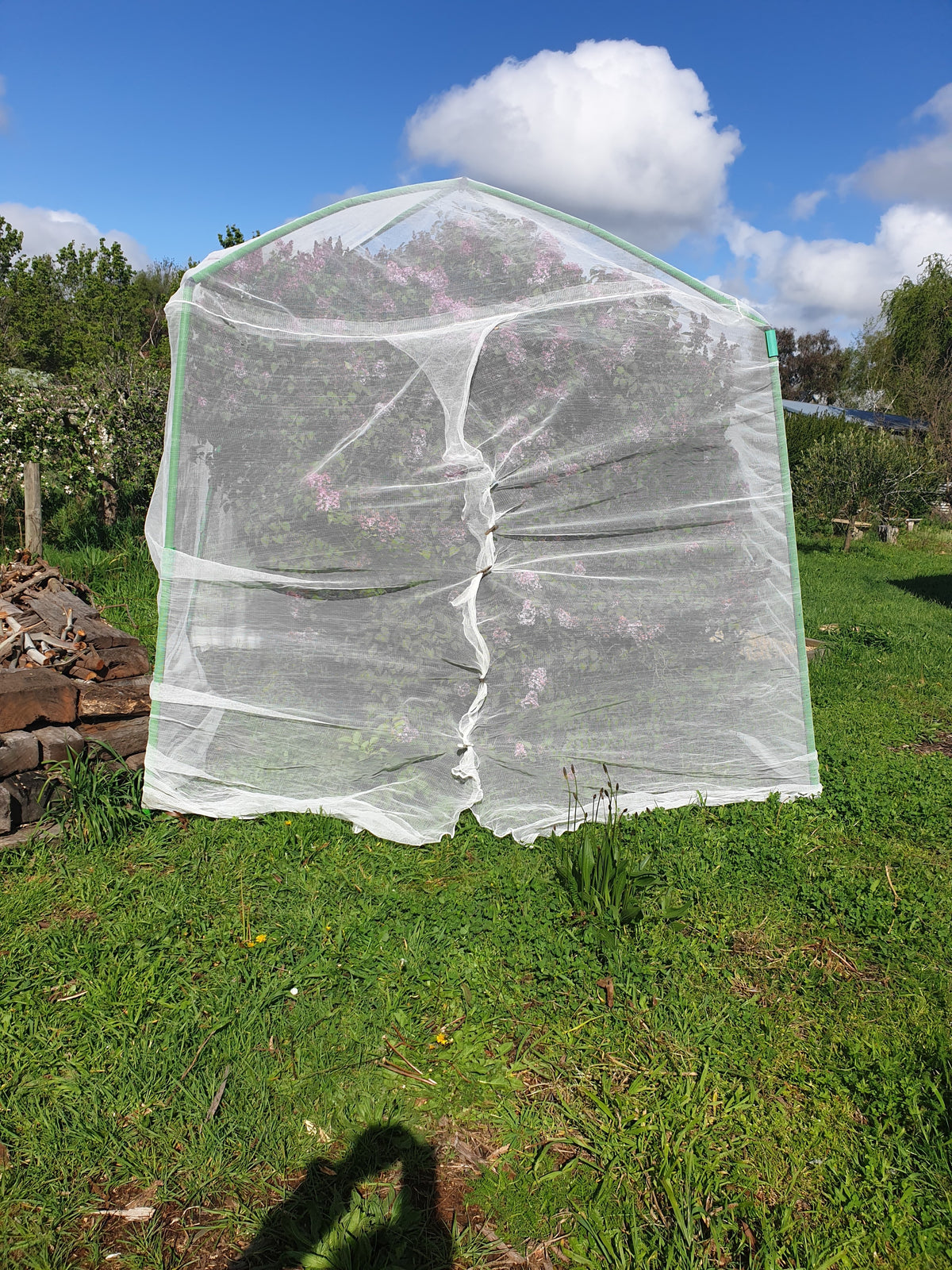 Flexi Garden Tree Frame - 2.8 metres tall