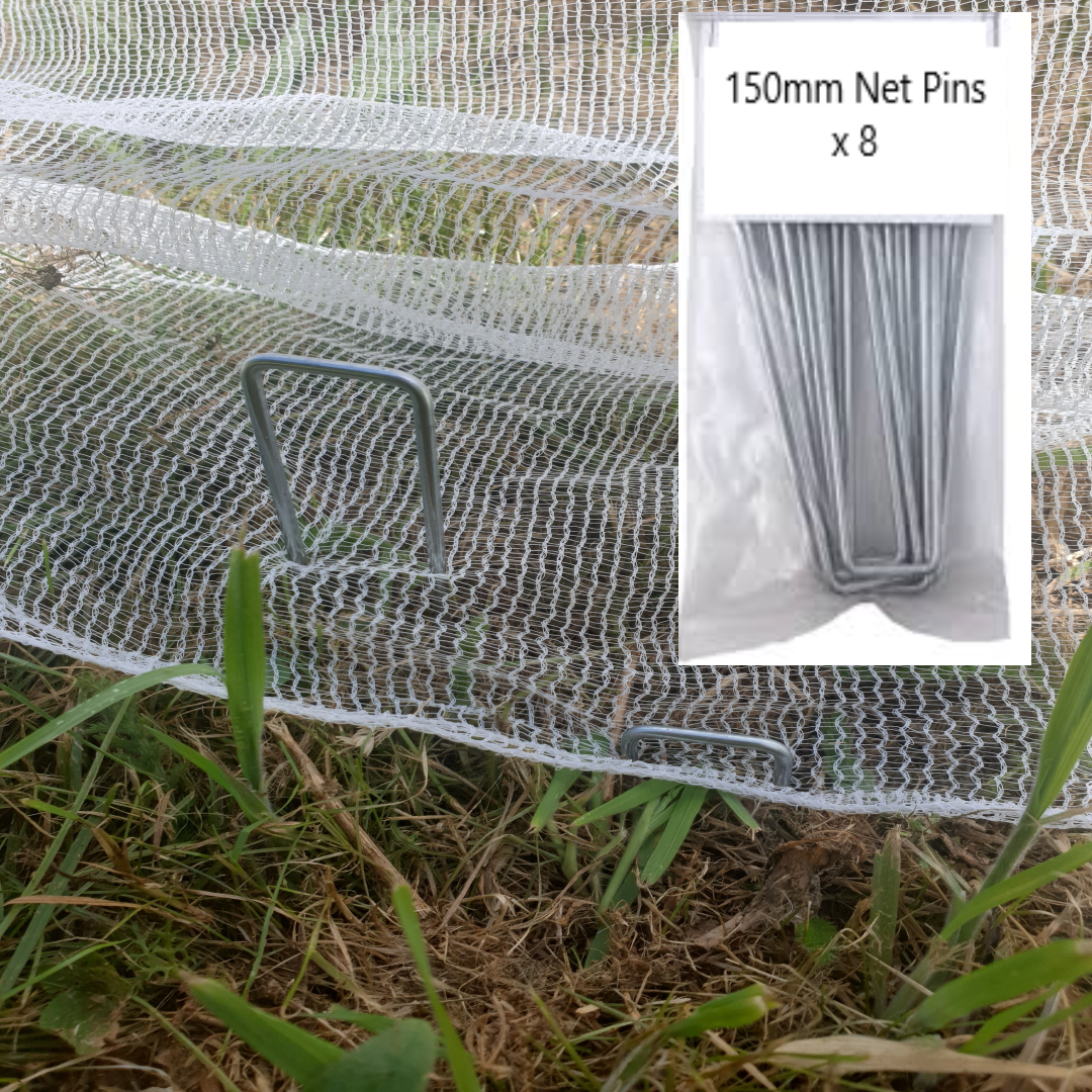 Net Pins set of 8