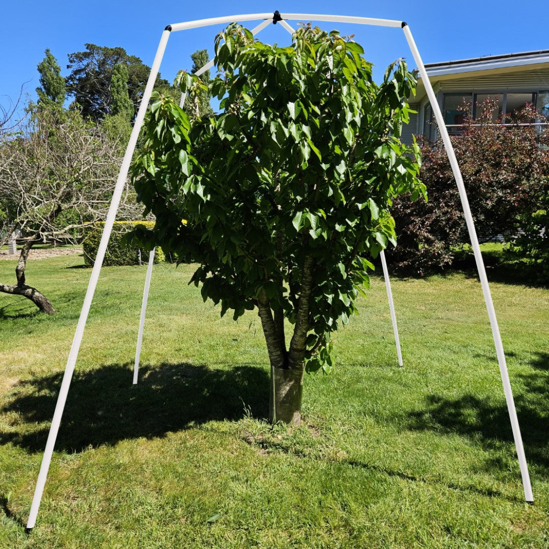 Flexi Garden Tree or Berry Bush Frame