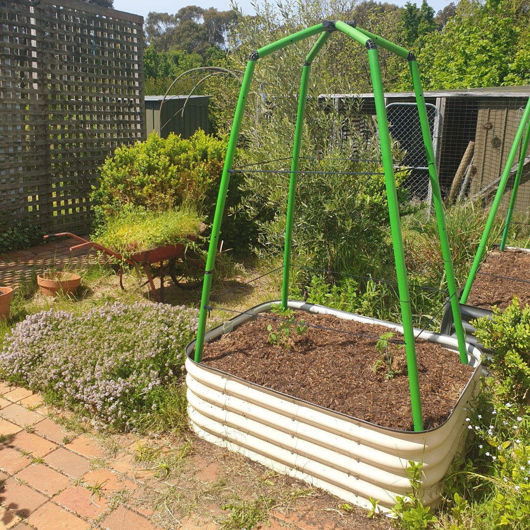 Flexi Garden Tomato Frame